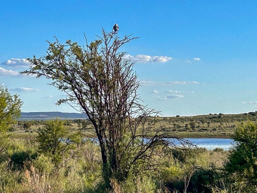 0 Bedroom Property for Sale in Lekwena Wildlife Estate North West